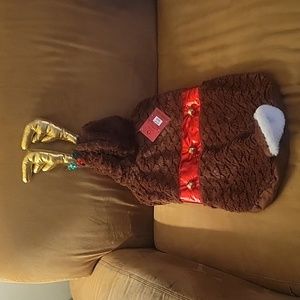 Doggie Reindeer costume.